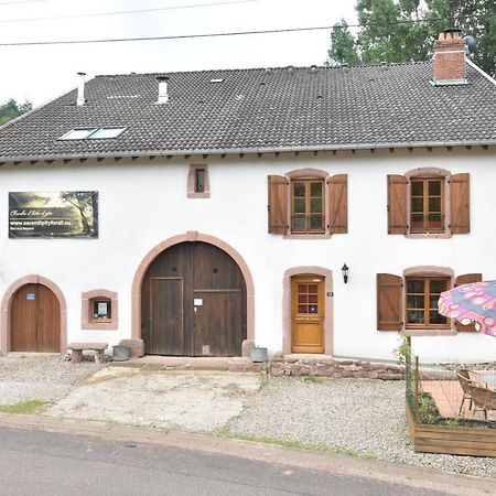 Serendipity For All Apartments Saint-Die-des-Vosges Buitenkant foto