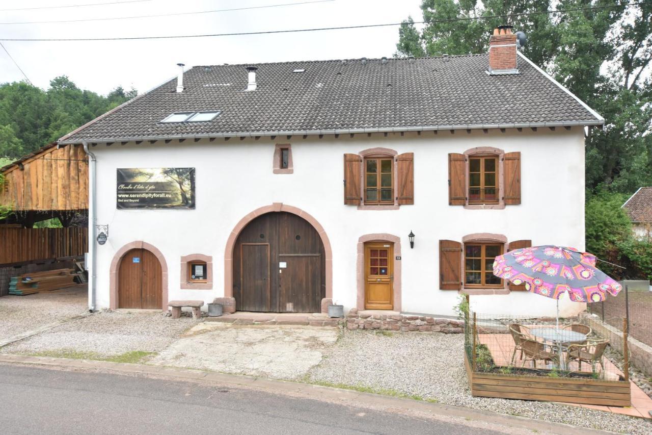 Serendipity For All Apartments Saint-Die-des-Vosges Buitenkant foto
